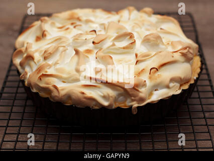 Lemon Meringue Pie auf ein Kuchengitter Stockfoto