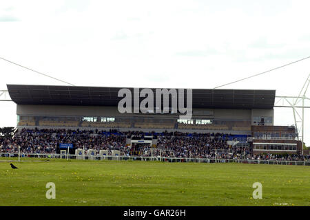 Pferderennen - Kempton Park Rennbahn Stockfoto