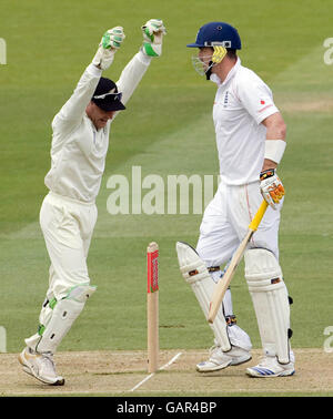 Der neuseeländische Wicketkeeper Brendon McCullum feiert, dass der englische Kevin Pietersen das Feld verlässt, nachdem er LBW für 3 Läufe von Daniel Vettori während des ersten npower Test Match in Lord's, London, entlassen wurde. Stockfoto