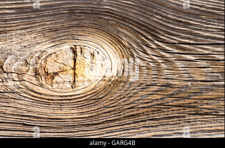Großen Makro Nahaufnahme von einem sehr alten Knoten in verwittertem Holz im Alter von Stockfoto