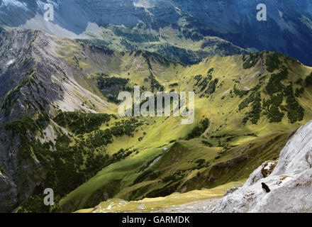 Blick auf eine grüne Alm im Karwendelgebirge in den Alpen Stockfoto