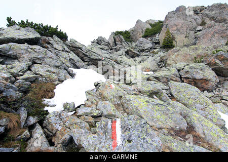 Weg zum Gipfel in den Alpen (Lesachtal) Stockfoto