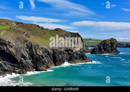 Die kornischen Küste in der Nähe von Kynance Cove auf der Lizard Halbinsel Cornwall England Großbritannien Stockfoto