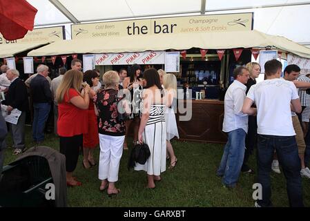 Pferderennen - 2008 Derby Festival - Ladies Day - Epsom Downs Racecourse. Racegoers während des Ladies Day Stockfoto