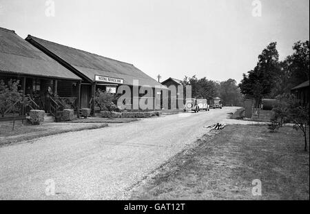 Olympische Spiele - Vorbereitungen Für Die Olympischen Spiele, London 1948. Eine Zweigstelle der National Provincial Bank im Richmond Park Camp für Olympiateilnehmer Stockfoto