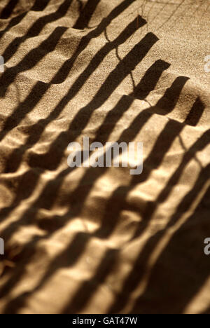 Schatten der Sandfang Fechten, Sandhaven Strand, South Shields, South Tyneside Stockfoto