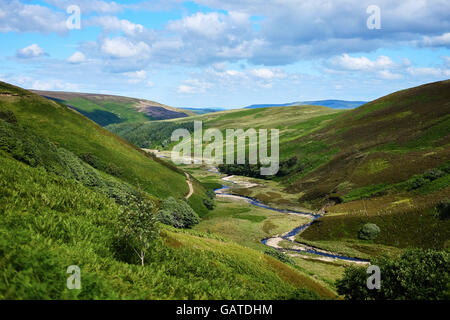 Hareden-Tal in den Trog von Bowland, Lancashire. VEREINIGTES KÖNIGREICH. Stockfoto