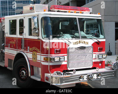 Neil Entwistle Testversion Stockfoto