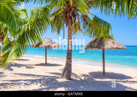 Stroh Sonnenschirme und Palmen an einem wunderschönen tropischen Strand Stockfoto