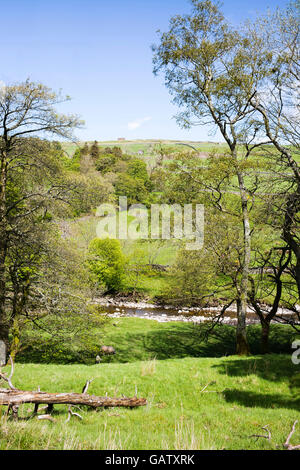 Den South Tyne fließt durch den North Pennines, Garrigill, Cumbria, England, UK Stockfoto