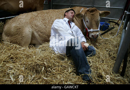 Royal Highland Show, 2008. Ein Landwirt entspannt sich neben seiner Kuh auf der 168. Royal Highland Show 2008 in Ingliston, Schottland. Stockfoto