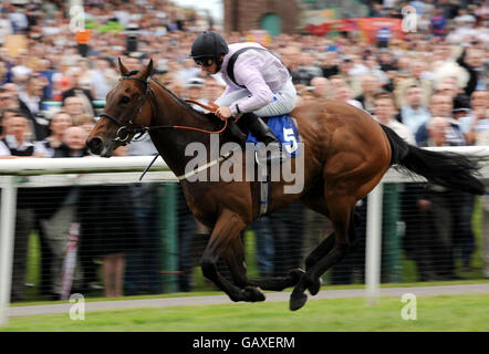 Pferd - John Smith Northumberland Platte Regattatag - Newcastle Racecourse Stockfoto