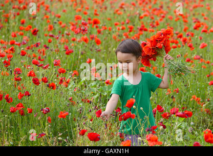 Nettes Kind Mädchen im Mohnfeld. sehr glückliches Kind Mädchen im Mohnfeld. Mädchen in Mohn Stockfoto