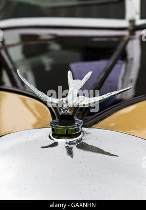 Hood Ornament auf einem 1930er Jahren Austin Swallow Stockfoto