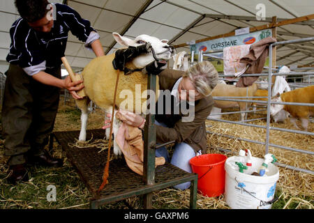 Royal Highland Show, 2008 Stockfoto