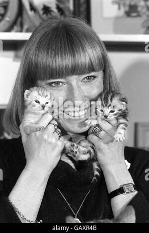 Die Blue Peter-Moderatorin Lesley Judd von BBC-TV in London mit zwei dreiwöchigen, tabby Zwillingskätzchen, die sich zum ersten Mal in der Sendung verbeugen. Stockfoto