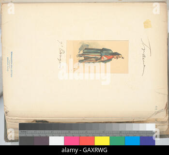 "Frankreich, 1799-1800. Der Feldzug in Italien bezieht sich auf die militärischen Feldzüge, die von französischen Truppen während dieser Zeit durchgeführt wurden, wie in der Einreise b14896507-1237641 verzeichnet. Stockfoto
