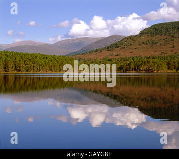 Loch ein Eilein, Cairngorms, Schottisches Hochland Stockfoto