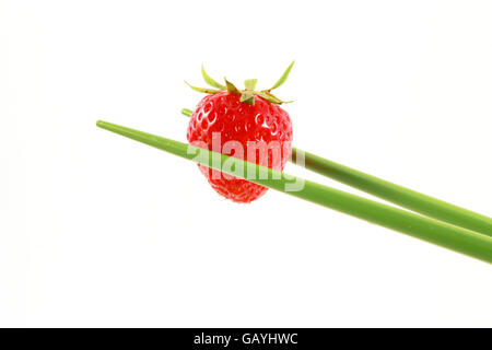 rote Erdbeere halten mit grünen Stäbchen in Nahaufnahme weißen Hintergrund Stockfoto