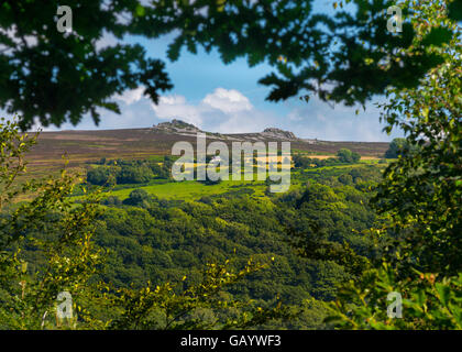 Die Stiperstones gesehen von Hope Valley Nature Reserve in South Shropshire, England, UK. Stockfoto