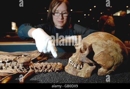 Kuratorin Emily Jo Sargent blickt auf eines der 26 menschlichen Skelette, die in der Londoner Wellcome Collection ausgestellt sind, die Teil der neuen Londoner Ausstellung Buried Bones in der Wellcome Collection, Euston Road, London ist. Stockfoto