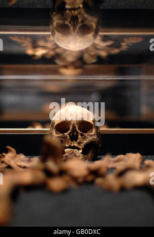 STANDALONE Photo eines der 26 menschlichen Skelette, die in der Londoner Wellcome Collection ausgestellt sind, Teil der neuen Londoner Ausstellung Buried Bones in der Wellcome Collection, Euston Road, London. Stockfoto