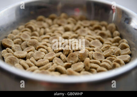 Schüssel mit Trockenfutter Hundefutter Stockfoto