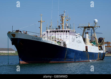 Bacalhoeiro, eine Art von Portugiesisch Angelboot/Fischerboot verwendet, um auf dem Nordatlantik Kabeljau Fisch fangen Stockfoto