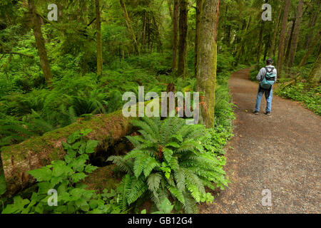 Wanderer auf Eisen Mine Bay Trail in East Sooke Regional Park-Sooke, Britisch-Kolumbien, Kanada. Stockfoto