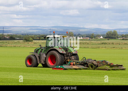 Ein landwirtschaftlicher Rasenmäher in Burscough, Lancashire, Großbritannien, fährt mit einem Fendt 514 Vario-Traktor, der eine neue Grasernte, Grün, Gras, Natur, Rasen mäht, wachsen, Pflanzen, wachsen, Feld, Hintergrund, Wiese, Frühling, Natur, Sommer, Garten, Umwelt, angebaut für die lokale Nachfrage nach Rasen. Auf diesen Feldern wird dieses Jahr Gras angebaut, das Teil des Fruchtwechselsystems der Landwirte ist. Das Prinzip der Fruchtfolge besteht darin, jedes Jahr bestimmte Gruppen von Gemüse in verschiedenen Teilen des Betriebs anzubauen. Stockfoto