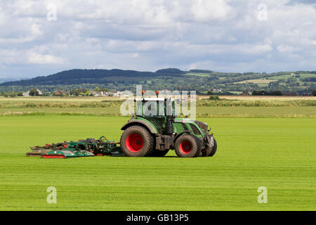 Ein landwirtschaftlicher Rasenmäher in Burscough, Lancashire, Großbritannien, fährt mit einem Fendt 514 Vario-Traktor, der eine neue Grasernte, Grün, Gras, Natur, Rasen mäht, wachsen, Pflanzen, wachsen, Feld, Hintergrund, Wiese, Frühling, Natur, Sommer, Garten, Umwelt, angebaut für die lokale Nachfrage nach Rasen. Auf diesen Feldern wird dieses Jahr Gras angebaut, das Teil des Fruchtwechselsystems der Landwirte ist. Das Prinzip der Fruchtfolge besteht darin, jedes Jahr bestimmte Gruppen von Gemüse in verschiedenen Teilen des Betriebs anzubauen. Stockfoto