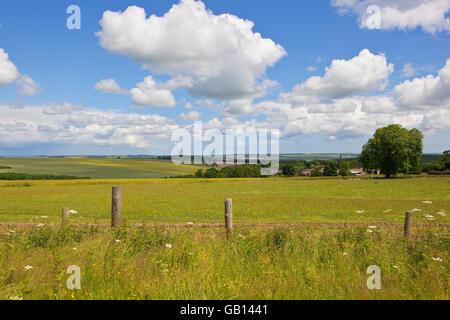 Yorkshire Wolds Ackerland über eine grüne Wiese im Sommer gesehen. Stockfoto