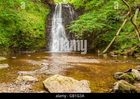 Fallende foss Wasserfall Yorkshire uk Stockfoto