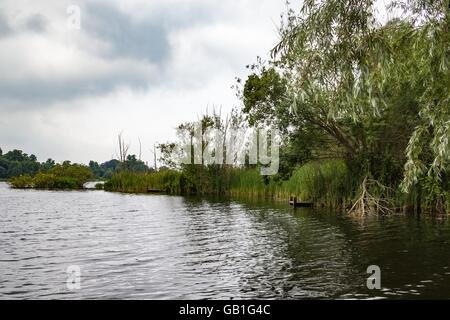 Whitlingham breite Norfolk uk Stockfoto