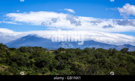 Vulkan Miravalles bedeckt mit Wolken, Bäume im Vordergrund. Stockfoto