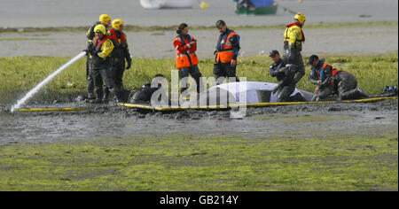 Gestrandeter Wal Stockfoto