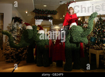 Die Herzogin von York, die auf einem lebensgroßen topiarischen Elefanten posiert, um im Selfridges in der Oxford Street im Zentrum von London den Selfridges' Green Christmas Shop und das Date an Elephant Charitable Gift zu eröffnen. Stockfoto