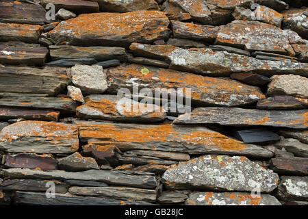 Wand, bestehend aus verschiedenen Stücken aus Basalt mit Flechten bedeckt Stockfoto