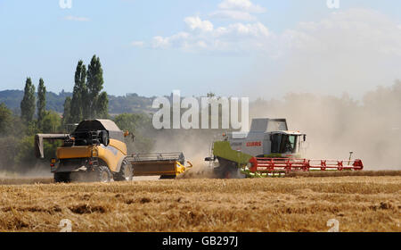 Lager. Ein Mähdrescher arbeitet in einem Weizenfeld, in der Nähe von Mountnessing, in Essex. DRÜCKEN Sie VERBANDSFOTO. Bilddatum: Freitag, 15. August 2008. Bildnachweis sollte lauten: Ian Nicholson/PA Stockfoto