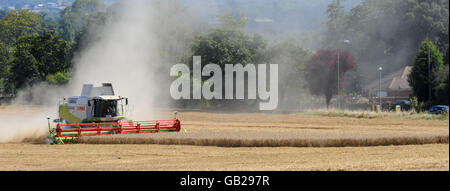 Lager. Ein Mähdrescher arbeitet in einem Weizenfeld, in der Nähe von Mountnessing, in Essex. DRÜCKEN Sie VERBANDSFOTO. Bilddatum: Freitag, 15. August 2008. Bildnachweis sollte lauten: Ian Nicholson/PA Stockfoto