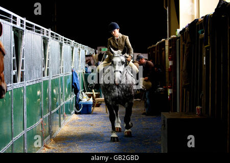 Ein Pferd wird zu Beginn der Failte Ireland Dublin Horse Show auf dem RDS Showgrounds in Dublin vorbereitet. Stockfoto