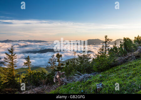 Sonnenaufgang, erstes Licht, Morgen, Wolke bedeckt Tal, Nationalpark Gesäuse, Steiermark, Österreich Stockfoto