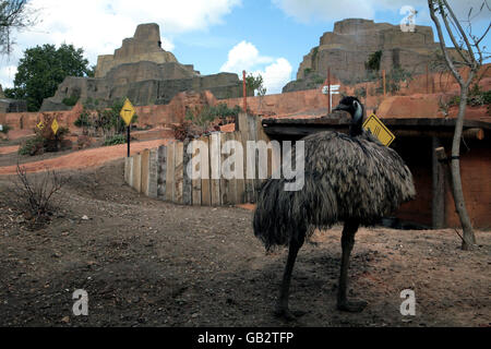 Outback-Ausstellung im Londoner Zoo Stockfoto