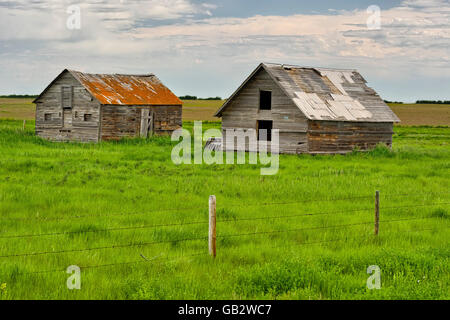 Verlassene Häuser in Dorothy, Alberta, Kanada Stockfoto