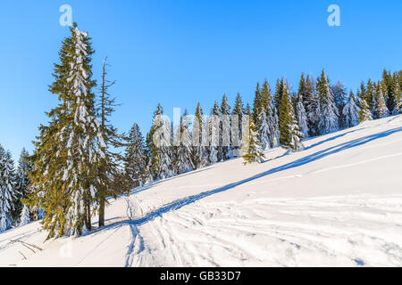 Winterdienst in Gorce Gebirge nach Neuschnee, Polen Stockfoto