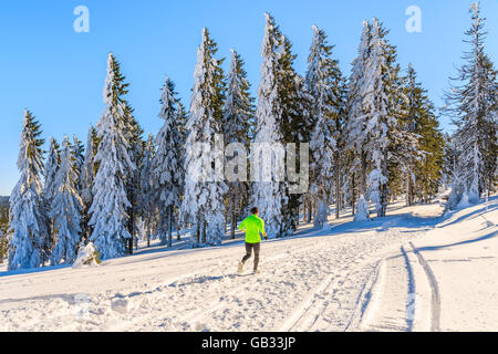 Nicht identifizierte Läufer unterwegs in Winterlandschaft von Gorce Gebirge, Polen Stockfoto