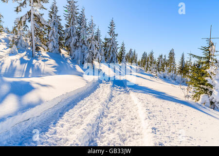 Winterwanderweg nach Neuschnee in Gorce Gebirge, Polen Stockfoto