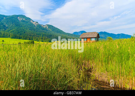Grüner Rasen am Ufer des Weißensee und typische alpine House in Ferne im Sommerlandschaft der Alpen, Österreich Stockfoto