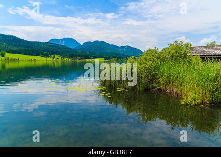 Rasen Sie am Ufer des idyllischen Weißensee im Sommer, Carinthia Land, Österreich Stockfoto