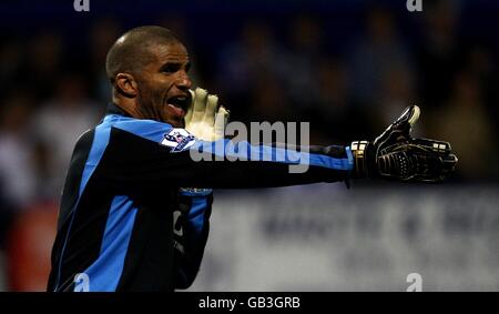 Fußball - Barclays Premier League - Portsmouth gegen Manchester United - Fratton Park. David James, Portsmouth Stockfoto